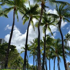 Meet your Posher, Claire & emily